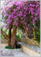 /album/resim-galerisi/a229-jpg/