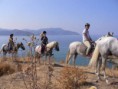 /album/resim-galerisi/binicilik-denizde2-jpg/